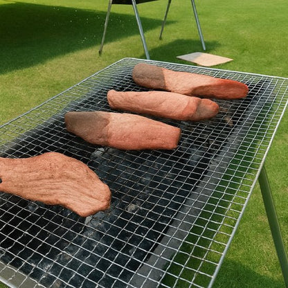 Grille pour barbecue | Inoxydable Résistante - Tout avais un coût